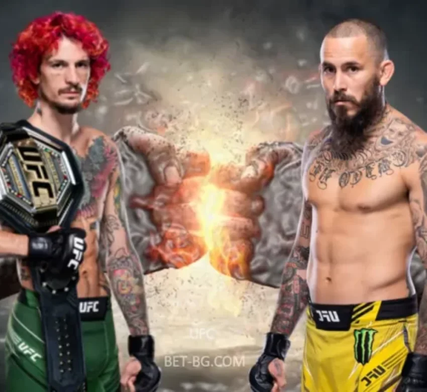 Шон О'Мали - Марлон Вера bet365