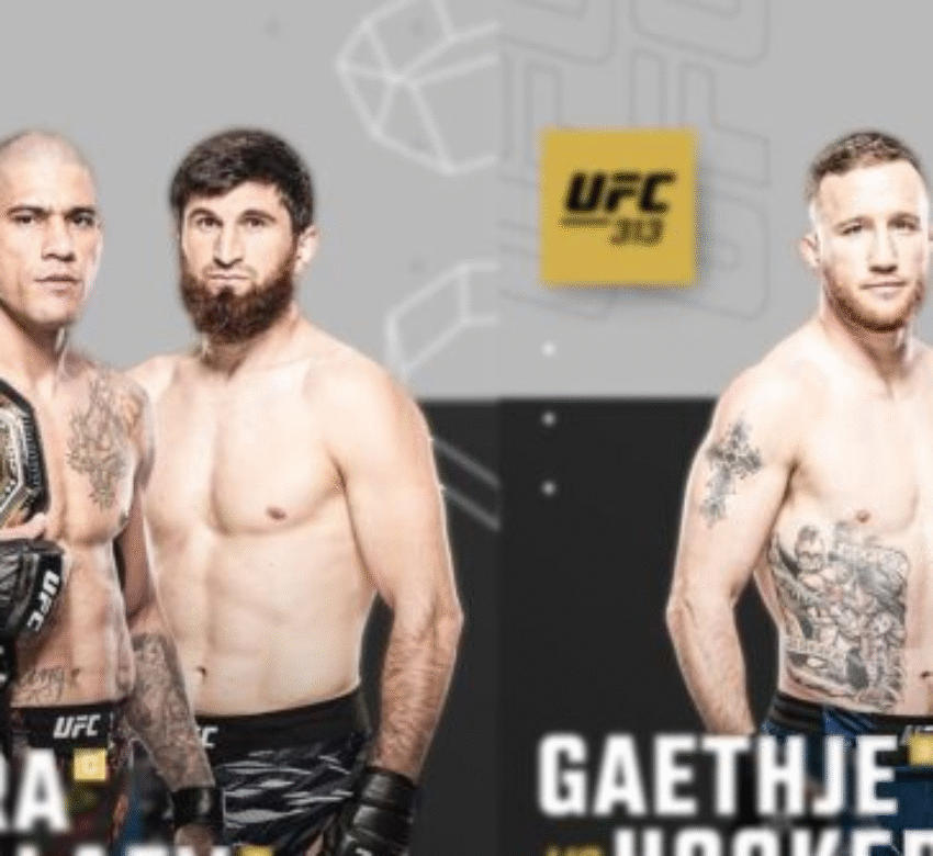 UFC 313