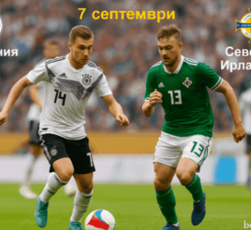 bet365