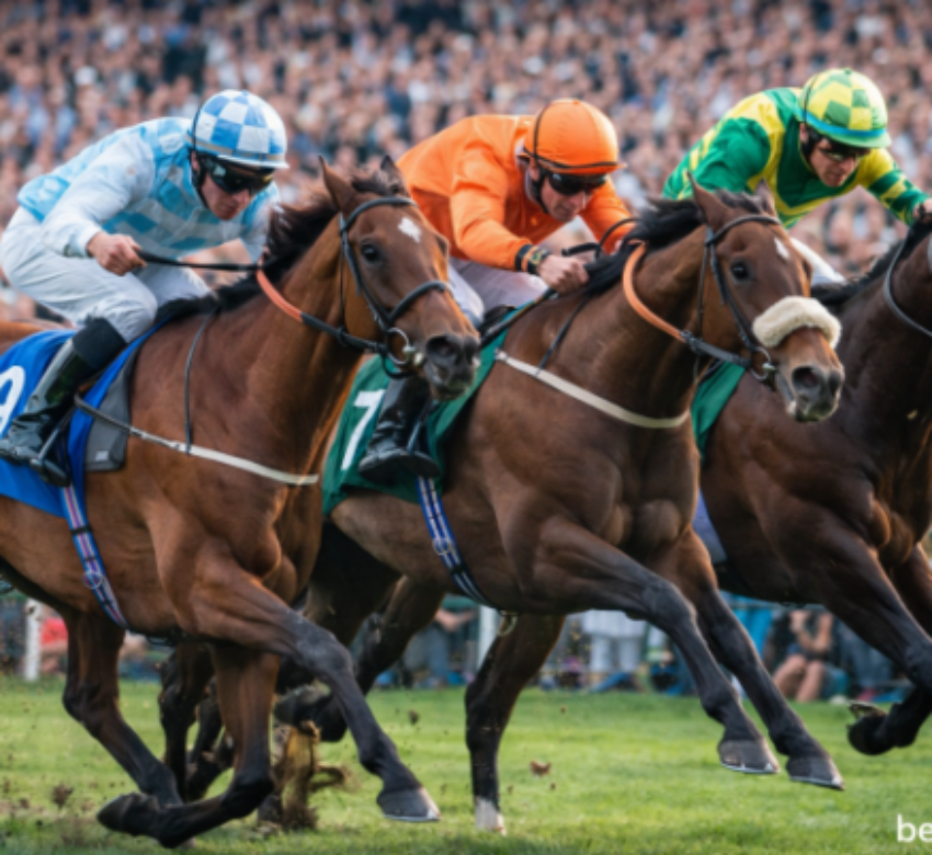 bet365
